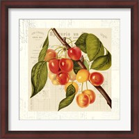 Framed Cerises