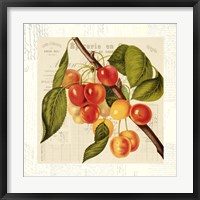 Framed Cerises