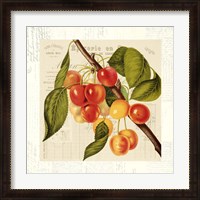 Framed Cerises