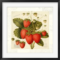 Framed Fraises