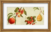 Framed Fruits de Saison