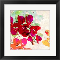 Framed Orchidreams (detail)
