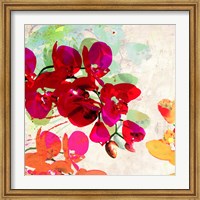 Framed Orchidreams (detail)