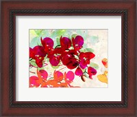 Framed Orchidreams