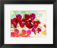 Framed Orchidreams