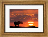 Framed Kenya, Masai Mara Composite Of White Rhino Silhouette And Sunset