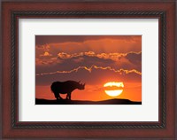 Framed Kenya, Masai Mara Composite Of White Rhino Silhouette And Sunset