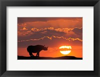 Framed Kenya, Masai Mara Composite Of White Rhino Silhouette And Sunset