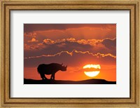 Framed Kenya, Masai Mara Composite Of White Rhino Silhouette And Sunset