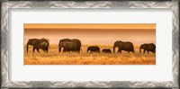Framed Etosha National Park, Namibia, Elephants Walk In A Line At Sunset
