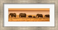 Framed Etosha National Park, Namibia, Elephants Walk In A Line At Sunset