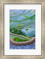 Framed Rice Terraces Of Banaue, Philippines