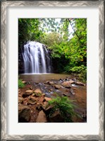Framed Ellinjaa Falls,  Waterfall Circuit, Queensland, Australia