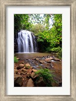 Framed Ellinjaa Falls,  Waterfall Circuit, Queensland, Australia