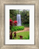 Framed Millaa Millaa Falls, Queensland, Australia