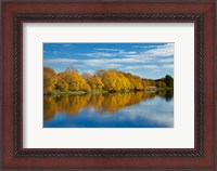 Framed Autumn Colour And Clutha River At Kaitangata, South Island, New Zealand