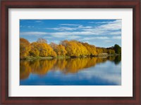 Framed Autumn Colour And Clutha River At Kaitangata, South Island, New Zealand