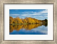 Framed Autumn Colour And Clutha River At Kaitangata, South Island, New Zealand