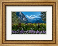 Framed Wildflowers In Banff National Park