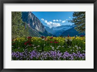 Framed Wildflowers In Banff National Park