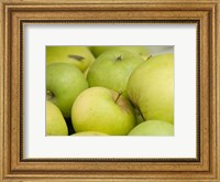 Framed Canada, British Columbia, Cowichan Valley Close-Up Of Green Apples