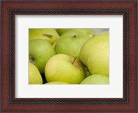 Framed Canada, British Columbia, Cowichan Valley Close-Up Of Green Apples