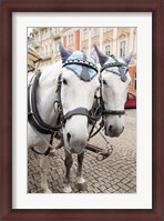 Framed Czech Republic Horses On Cobblestone Karlovy Vary Street