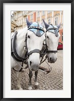 Framed Czech Republic Horses On Cobblestone Karlovy Vary Street