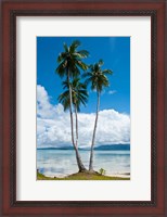 Framed Lonely Palm Tree In The Marovo Lagoon, Solomon Islands
