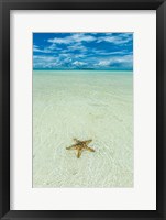 Framed Sea Star In The Sand On The Rock Islands, Palau