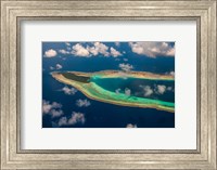 Framed Aerial Ant Atoll, Pohnpei, Micronesia