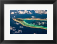 Framed Aerial Ant Atoll, Pohnpei, Micronesia