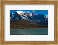 Framed Chilean Flamingo On Blue Lake, Torres Del Paine NP, Patagonia