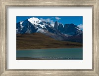 Framed Chilean Flamingo On Blue Lake, Torres Del Paine NP, Patagonia