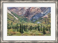 Framed Alaska, Fall Foliage, Sheep Mountain