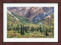 Framed Alaska, Fall Foliage, Sheep Mountain