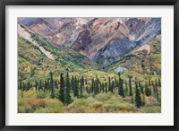 Framed Alaska, Fall Foliage, Sheep Mountain