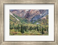 Framed Alaska, Fall Foliage, Sheep Mountain