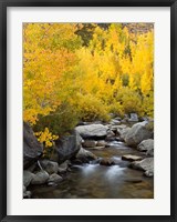 Framed California, Eastern Sierra Bishop Creek During Autumn