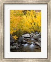 Framed California, Eastern Sierra Bishop Creek During Autumn