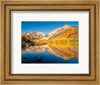 Framed California, Eastern Sierra, Fall Color Reflected In North Lake