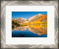 Framed California, Eastern Sierra, Fall Color Reflected In North Lake