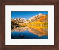 Framed California, Eastern Sierra, Fall Color Reflected In North Lake