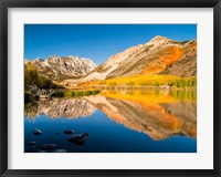 Framed California, Eastern Sierra, Fall Color Reflected In North Lake