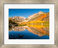 Framed California, Eastern Sierra, Fall Color Reflected In North Lake