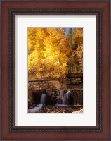 Framed Autumn Waterfalls In The Sierra