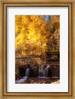 Framed Autumn Waterfalls In The Sierra