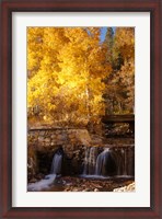 Framed Autumn Waterfalls In The Sierra