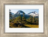 Framed Mount Eccles Near Cordova, Alaska