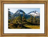 Framed Mount Eccles Near Cordova, Alaska
